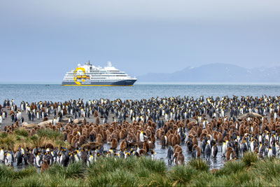 Quark Expedition ship with penguins